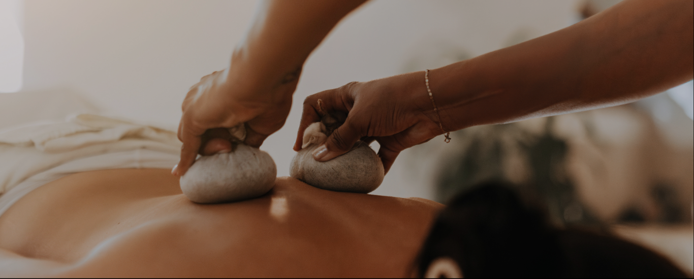 Programa Burn Out Recovery